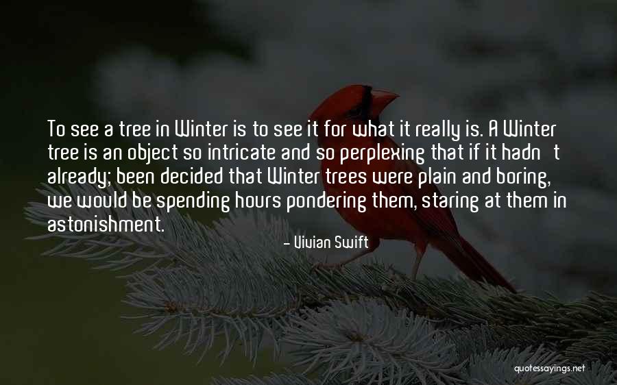 Vivian Swift Quotes 1311641 Vivian Swift Quotes 1311641