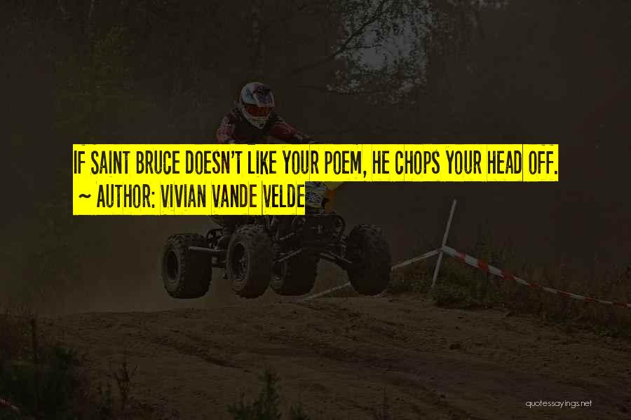 Vivian Vande Velde Quotes 646598