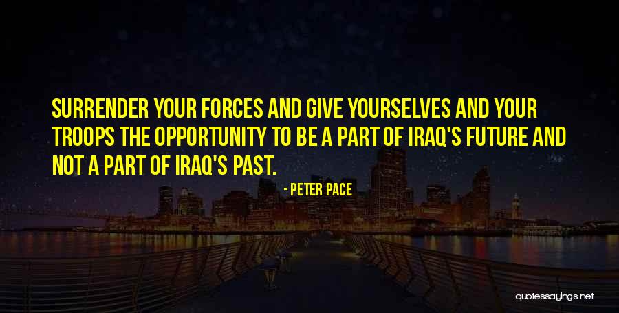 Viviane Senna Quotes By Peter Pace Viviane Senna Quotes By Peter Pace