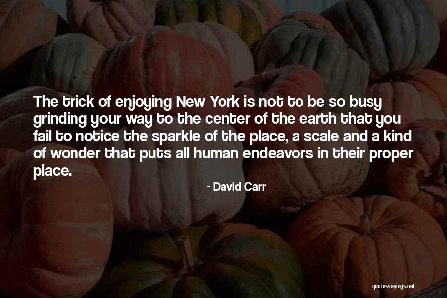 Vivicas Black Quotes By David Carr Vivicas Black Quotes By David Carr