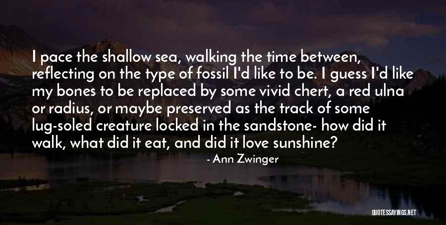 Vivid Love Quotes By Ann Zwinger