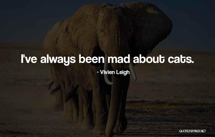 Vivien Leigh Quotes 1611848 Vivien Leigh Quotes 1611848