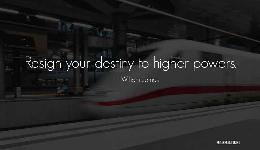 Vivification And Mortification Quotes By William James Vivification And Mortification Quotes By William James