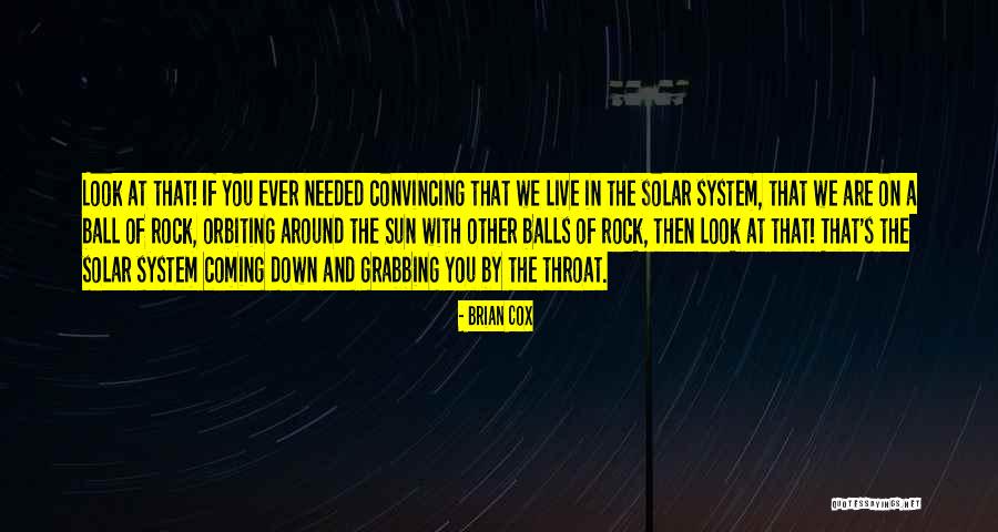 Viviparous Reproduction Quotes By Brian Cox Viviparous Reproduction Quotes By Brian Cox