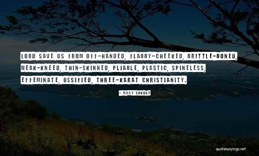 Vixxen823 Quotes By Billy Sunday Vixxen823 Quotes By Billy Sunday