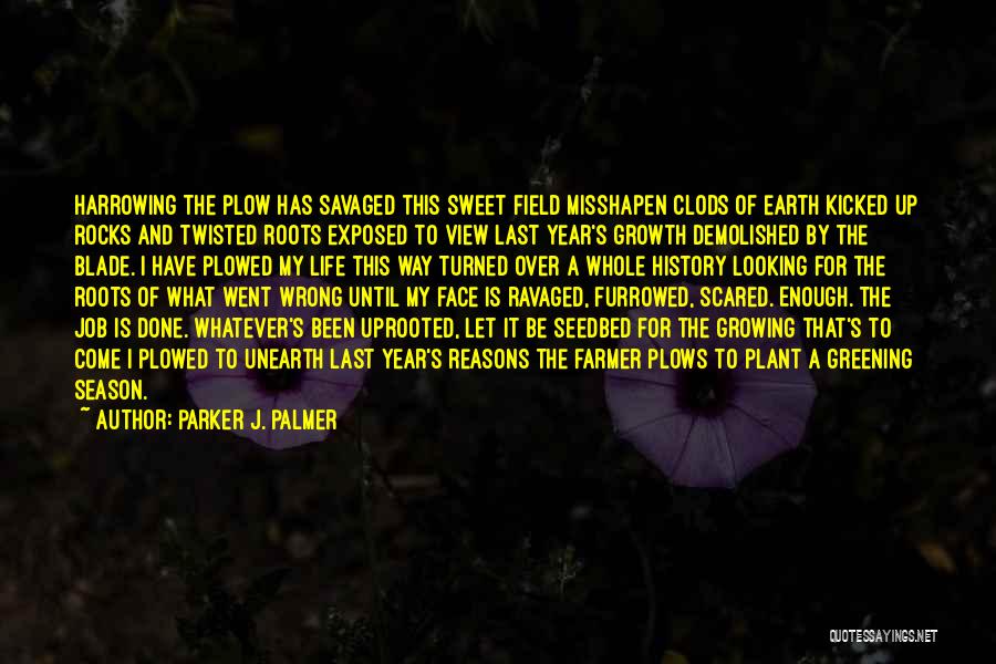 Viz Farmer Palmer Quotes By Parker J. Palmer