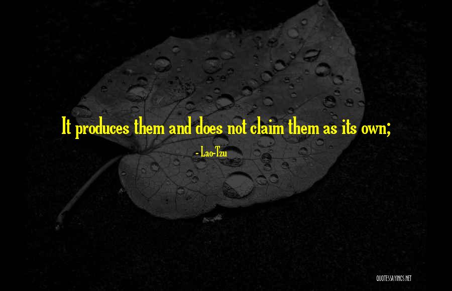 Vizcarra Guitars Quotes By Lao-Tzu Vizcarra Guitars Quotes By Lao-Tzu