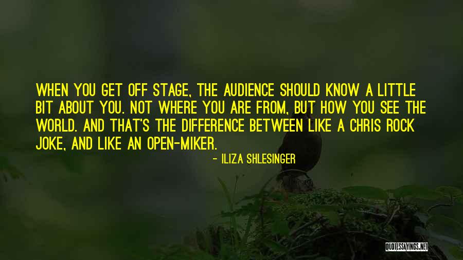 Vizijana Quotes By Iliza Shlesinger Vizijana Quotes By Iliza Shlesinger