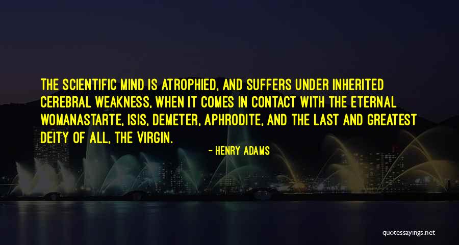 Vizuri Usa Quotes By Henry Adams Vizuri Usa Quotes By Henry Adams