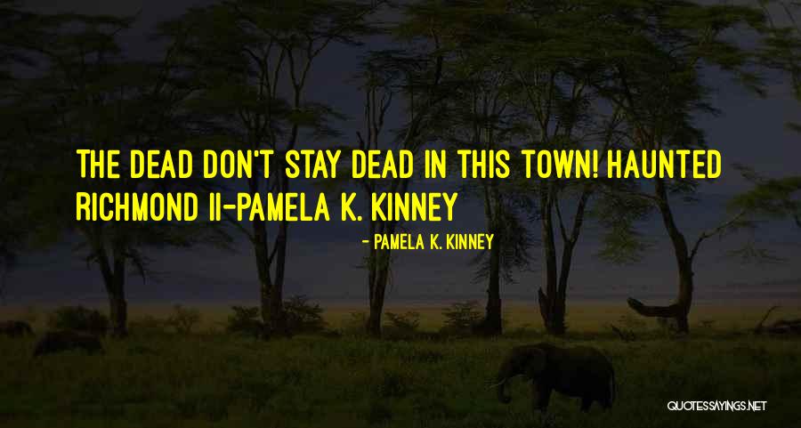 Vizzavona Webcam Quotes By Pamela K. Kinney Vizzavona Webcam Quotes By Pamela K. Kinney