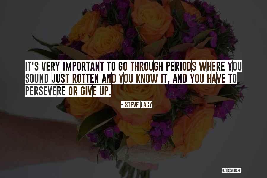 Vj Emmie Quotes By Steve Lacy Vj Emmie Quotes By Steve Lacy