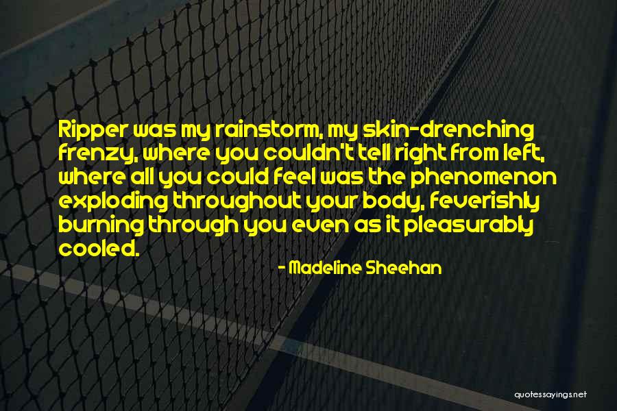 Vjena Kryeqyteti Quotes By Madeline Sheehan Vjena Kryeqyteti Quotes By Madeline Sheehan