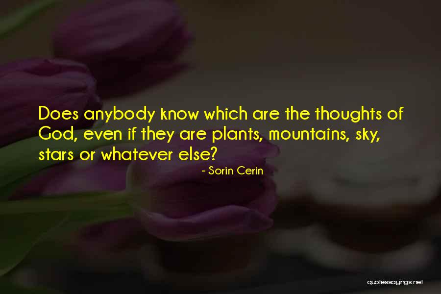 Vjetrovi Tuge Quotes By Sorin Cerin Vjetrovi Tuge Quotes By Sorin Cerin