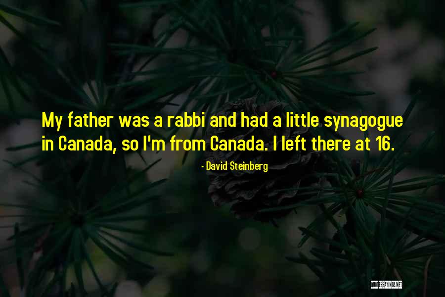 Vjetrulje Quotes By David Steinberg Vjetrulje Quotes By David Steinberg