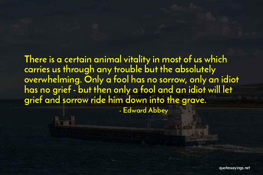 Vlad Vladikoff Quotes By Edward Abbey Vlad Vladikoff Quotes By Edward Abbey
