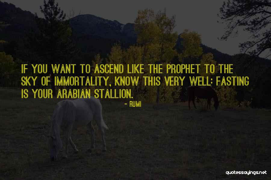Vladeta Zivkovic Slikar Quotes By Rumi Vladeta Zivkovic Slikar Quotes By Rumi