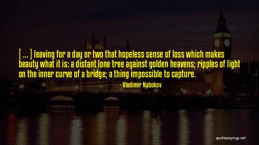 Vladimir Nabokov Quotes 119709