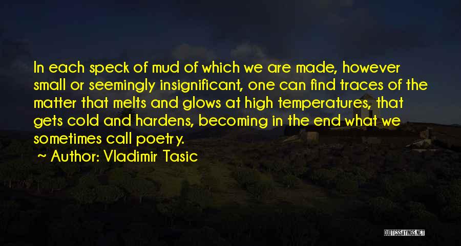 Vladimir Tasic Quotes 2055856