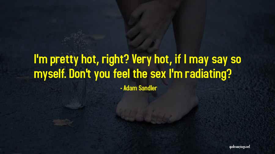 Vladimiru Jovanovicu Quotes By Adam Sandler