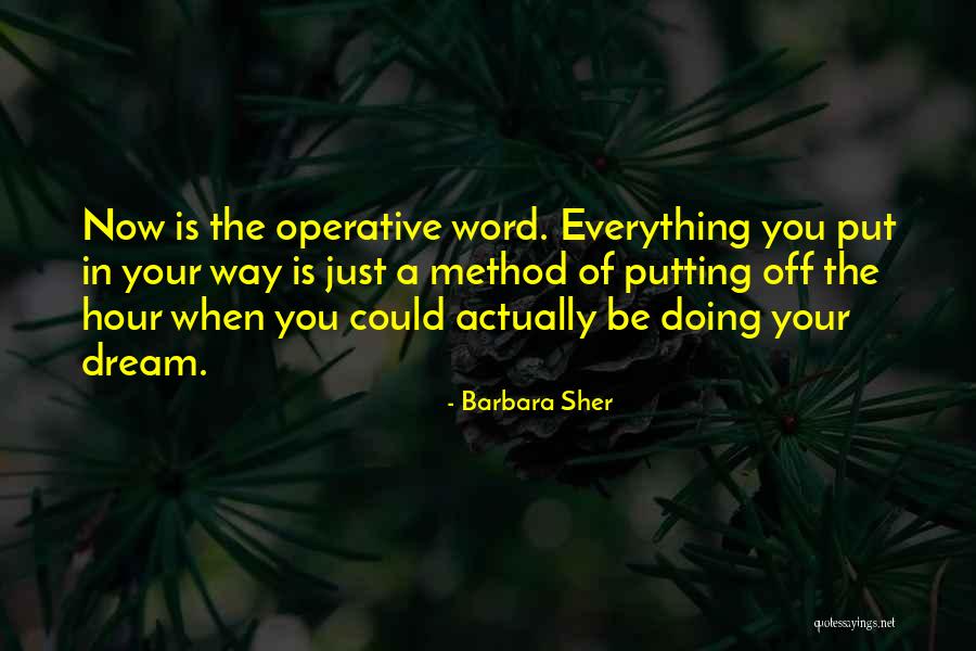 Vladin Quotes By Barbara Sher Vladin Quotes By Barbara Sher