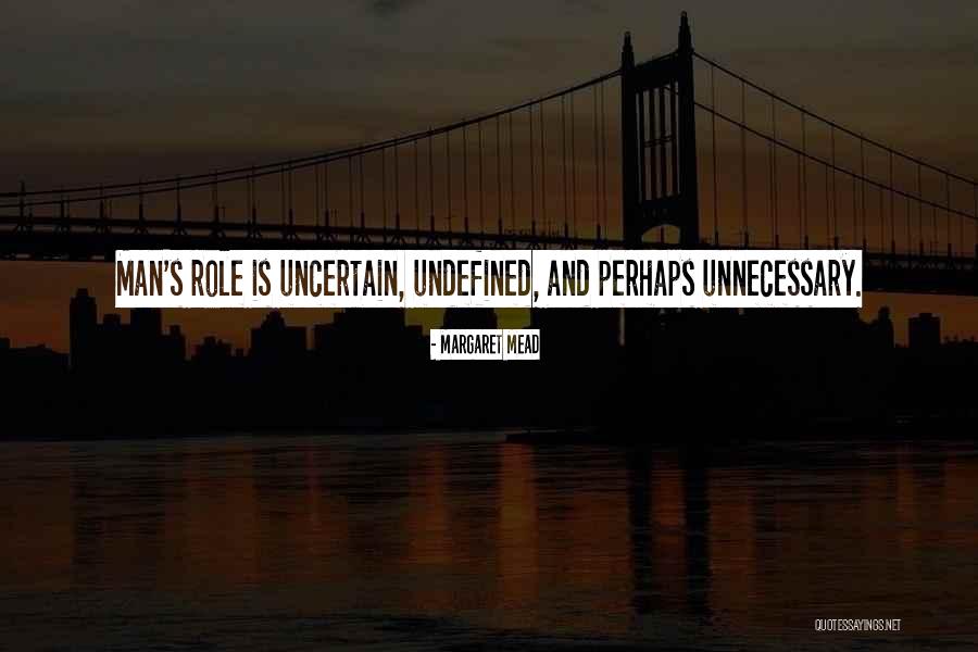 Vladislava Evtushenko Quotes By Margaret Mead