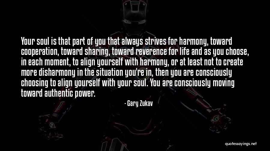 Vlado Shoes Quotes By Gary Zukav Vlado Shoes Quotes By Gary Zukav
