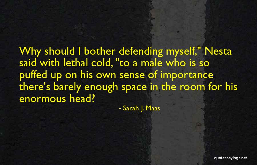 Vlasenko Svetlana Quotes By Sarah J. Maas Vlasenko Svetlana Quotes By Sarah J. Maas