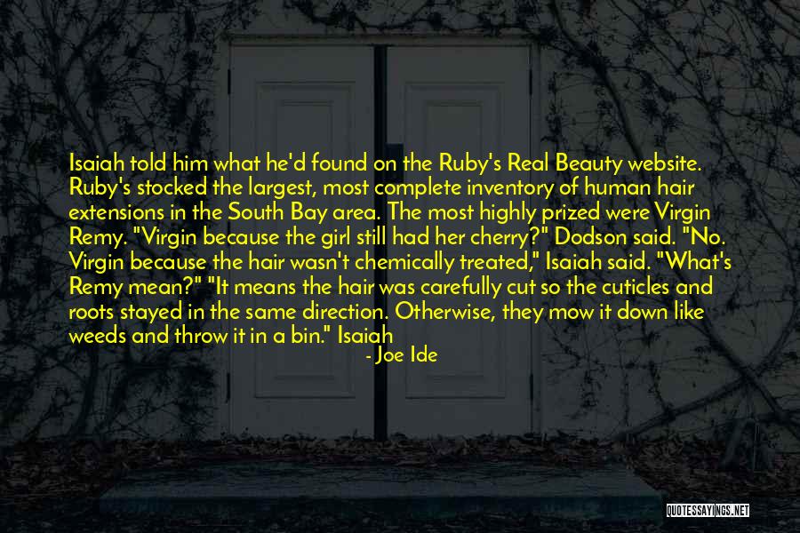 Vlcek Quotes By Joe Ide Vlcek Quotes By Joe Ide