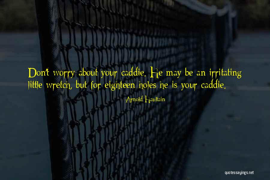 Vleek Artist Quotes By Arnold Haultain Vleek Artist Quotes By Arnold Haultain