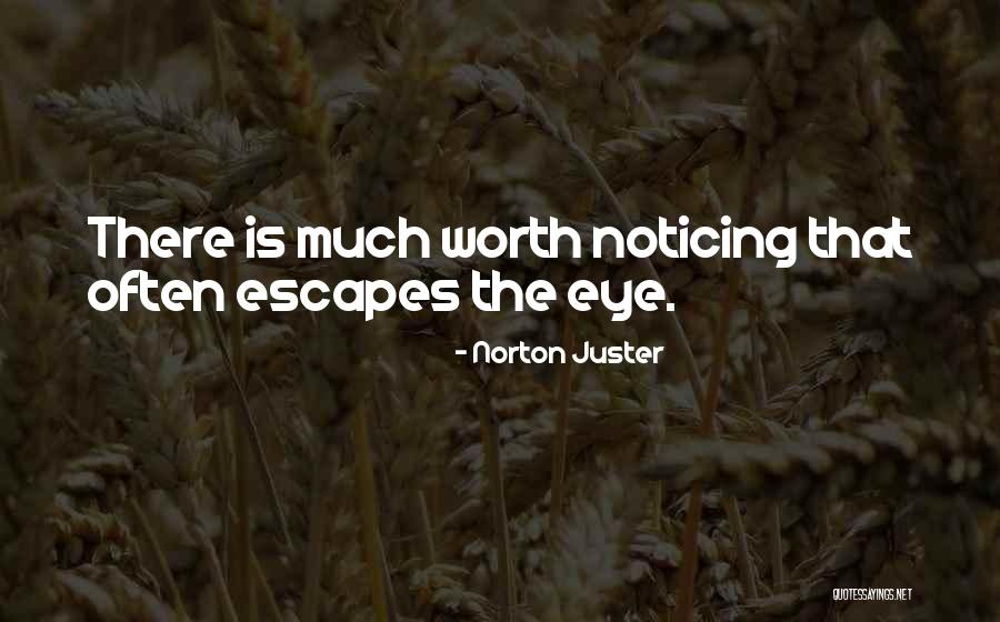 Vlieger Vouwen Quotes By Norton Juster Vlieger Vouwen Quotes By Norton Juster