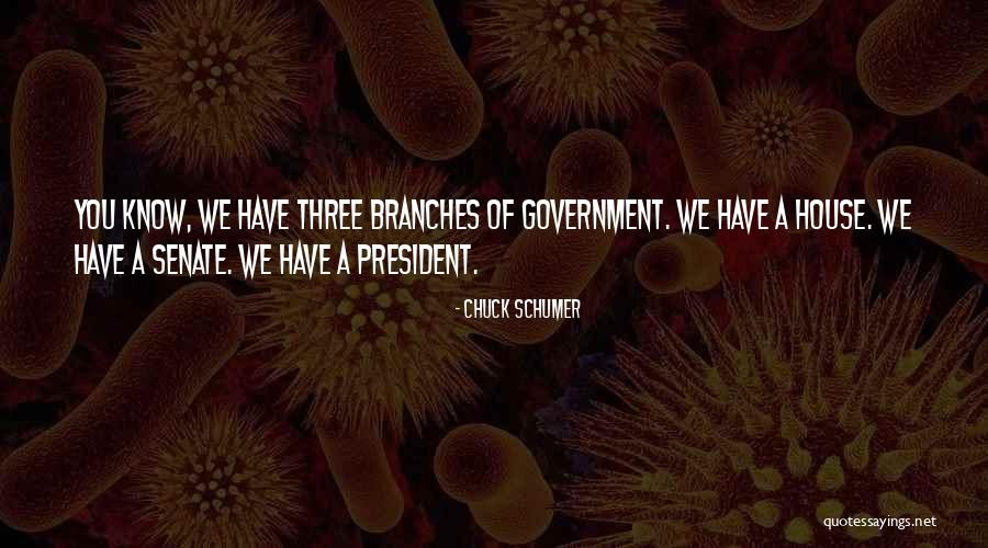 Vnek Otto Quotes By Chuck Schumer Vnek Otto Quotes By Chuck Schumer