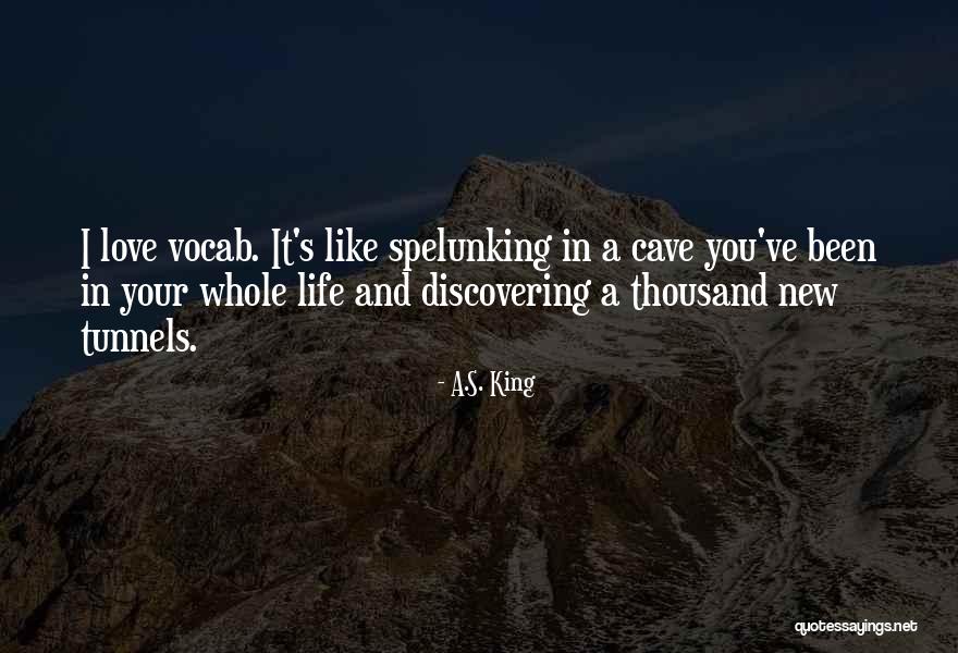 Vocab Quotes By A.S. King Vocab Quotes By A.S. King
