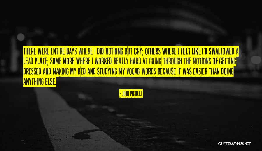 Vocab Quotes By Jodi Picoult Vocab Quotes By Jodi Picoult