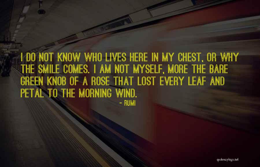 Vocabulario Tecnico Quotes By Rumi Vocabulario Tecnico Quotes By Rumi