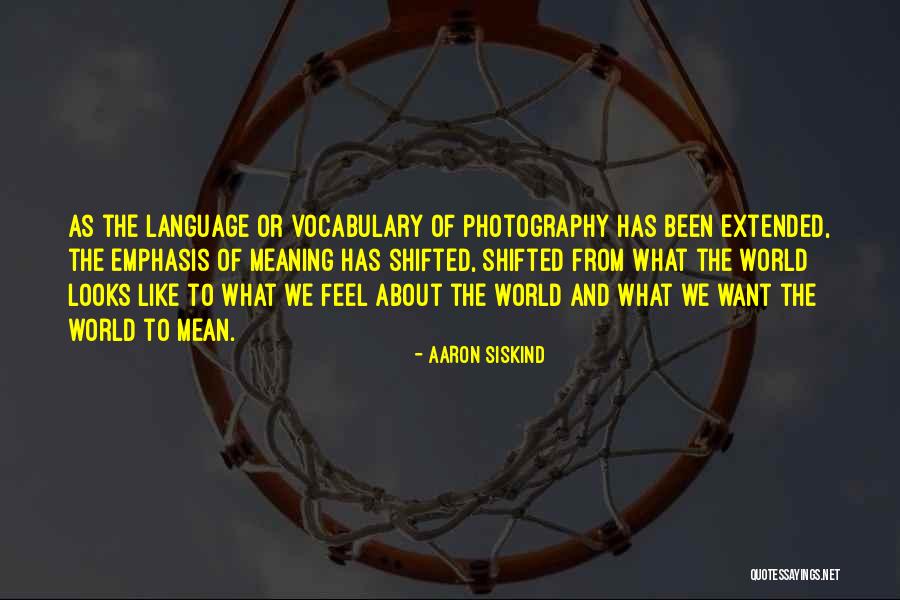 Vocabulary Quotes By Aaron Siskind