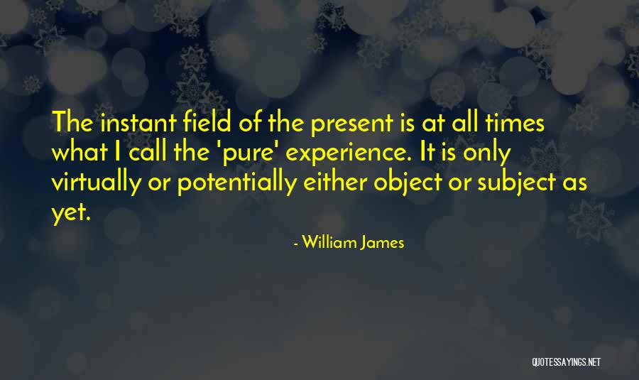 Vocazione San Matteo Quotes By William James Vocazione San Matteo Quotes By William James
