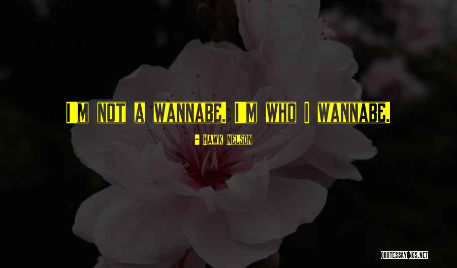 Vodomer Quotes By Hawk Nelson Vodomer Quotes By Hawk Nelson