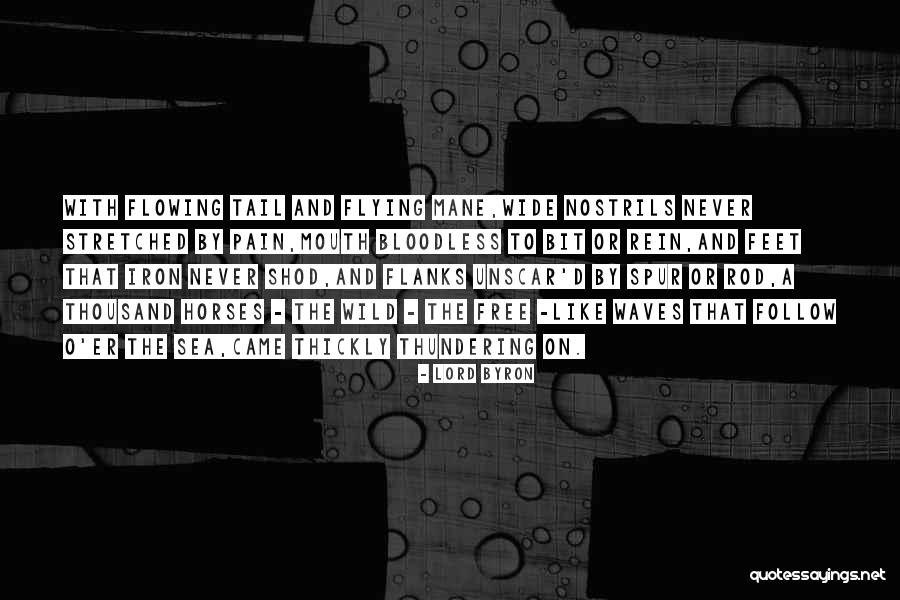 Voelen Synoniem Quotes By Lord Byron Voelen Synoniem Quotes By Lord Byron