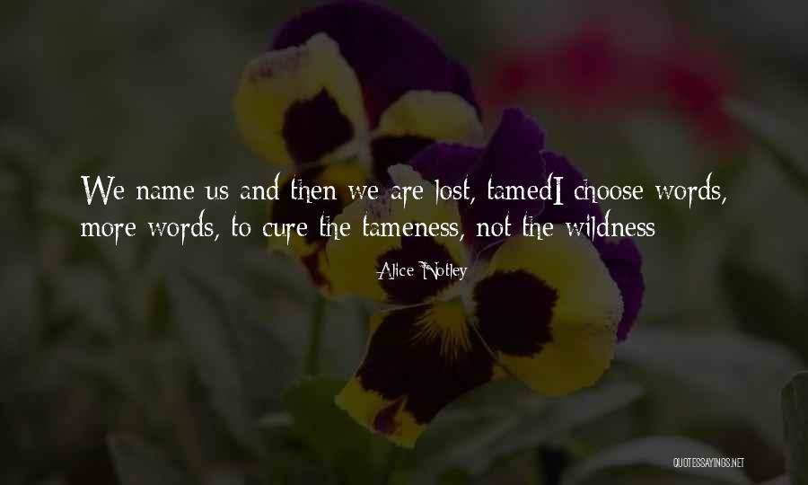 Voetspoor Vos Quotes By Alice Notley Voetspoor Vos Quotes By Alice Notley