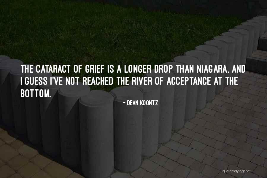 Vogeler Md Quotes By Dean Koontz Vogeler Md Quotes By Dean Koontz