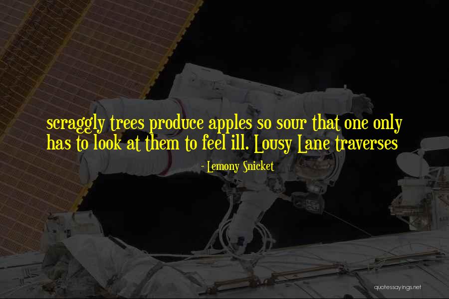 Vogelstimmen Quotes By Lemony Snicket Vogelstimmen Quotes By Lemony Snicket
