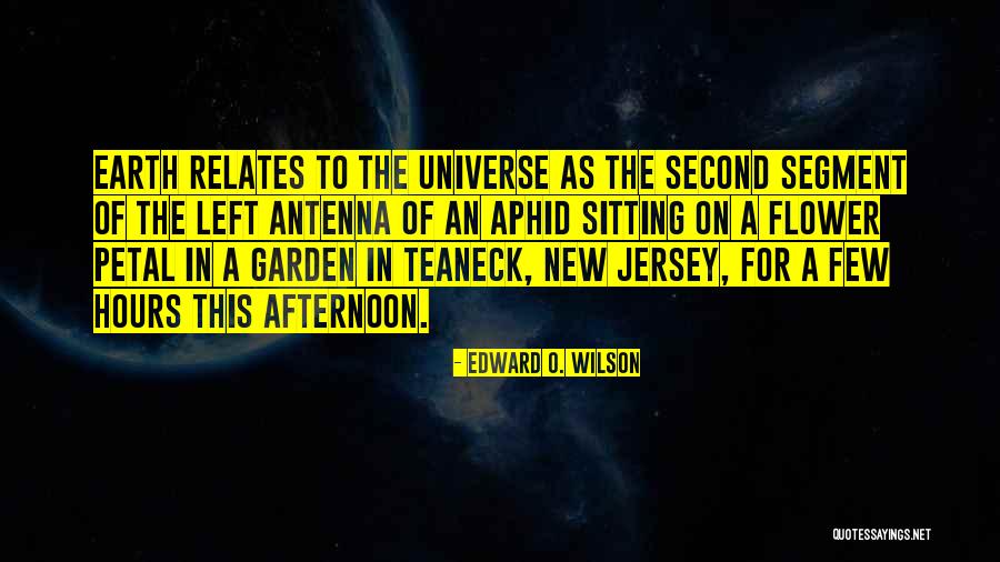 Vogelzang Wood Quotes By Edward O. Wilson Vogelzang Wood Quotes By Edward O. Wilson
