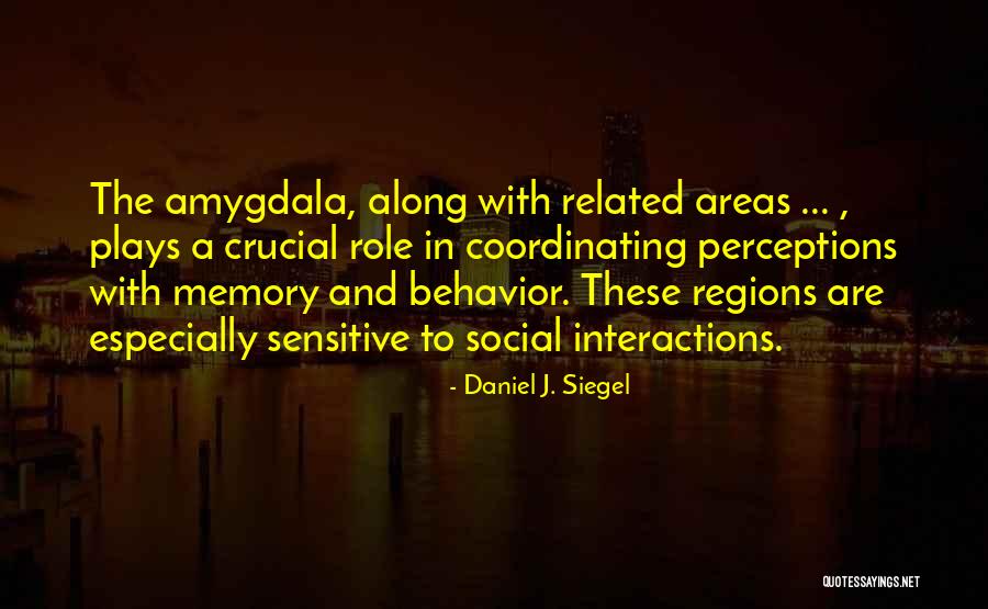 Vogt Auctions Quotes By Daniel J. Siegel Vogt Auctions Quotes By Daniel J. Siegel