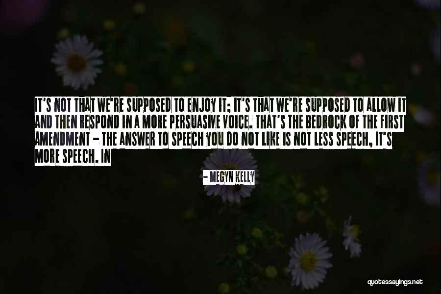 Voice And Speech Quotes By Megyn Kelly Voice And Speech Quotes By Megyn Kelly