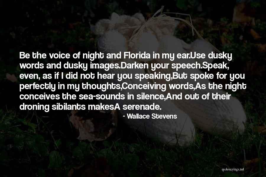 Voice And Speech Quotes By Wallace Stevens Voice And Speech Quotes By Wallace Stevens