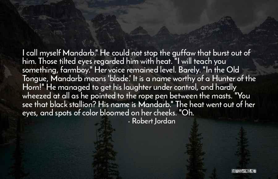 Voice Call Quotes By Robert Jordan Voice Call Quotes By Robert Jordan