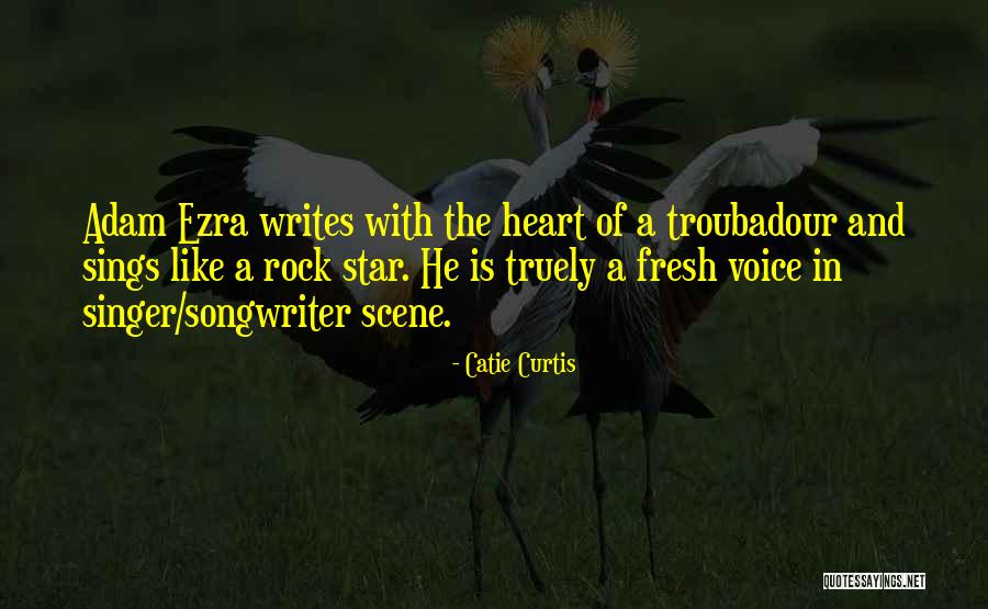Voice In Writing Quotes By Catie Curtis Voice In Writing Quotes By Catie Curtis