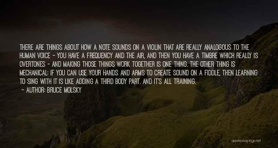 Voice Note Quotes By Bruce Molsky