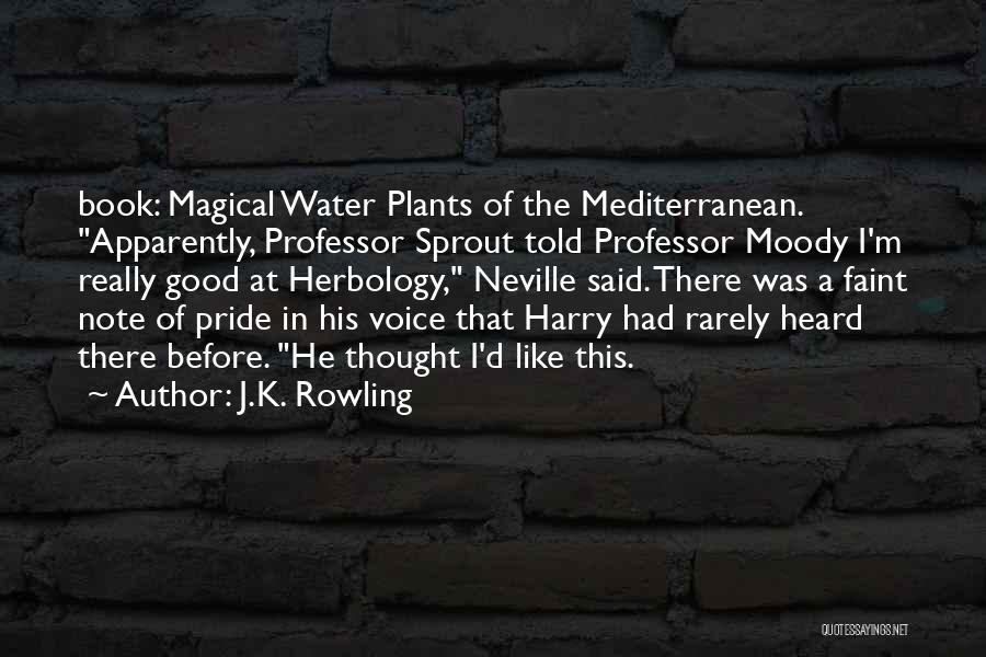 Voice Note Quotes By J.K. Rowling