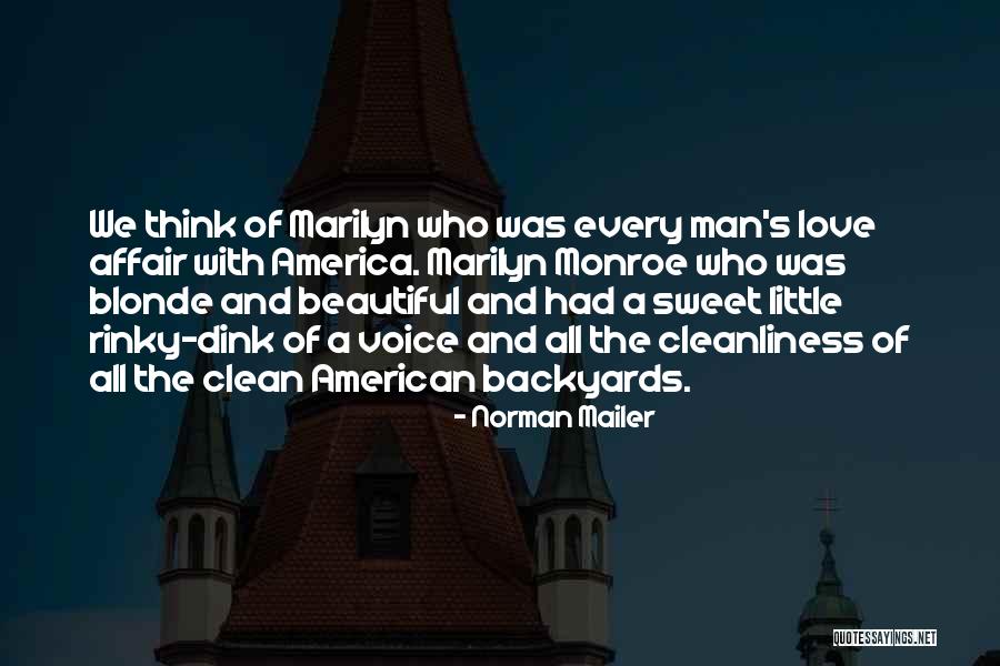 Voice Of America Quotes By Norman Mailer Voice Of America Quotes By Norman Mailer